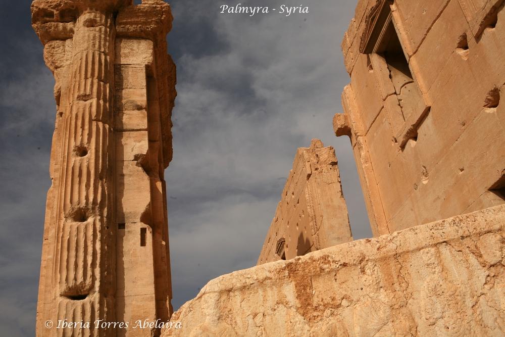 Syria10