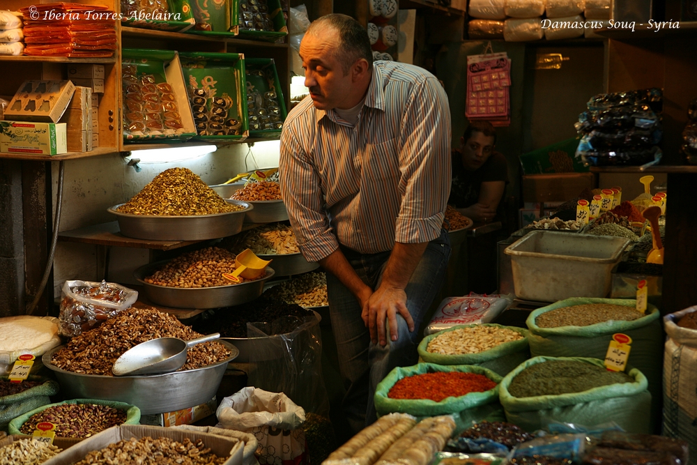 Syria14