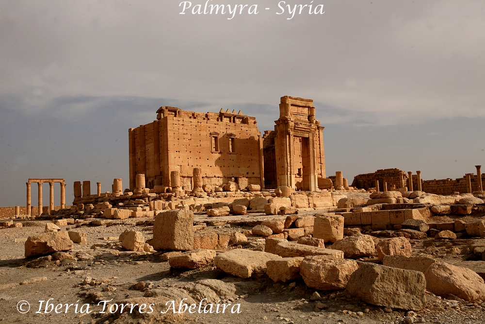 Syria09