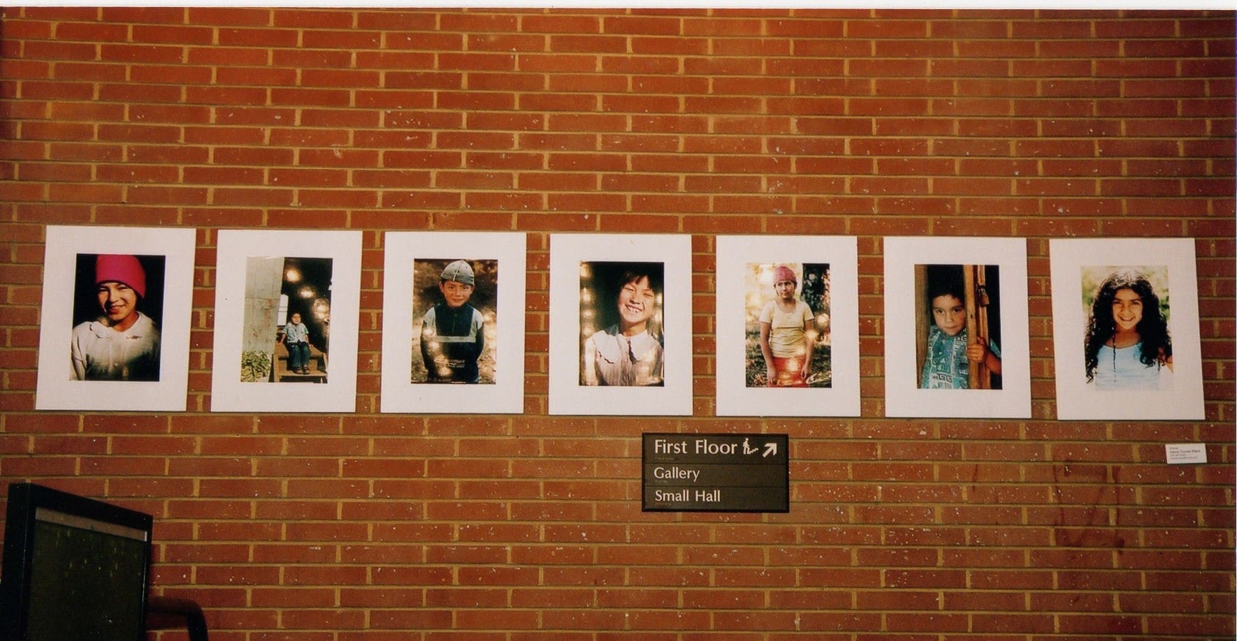 Mapuche Children from Palguin