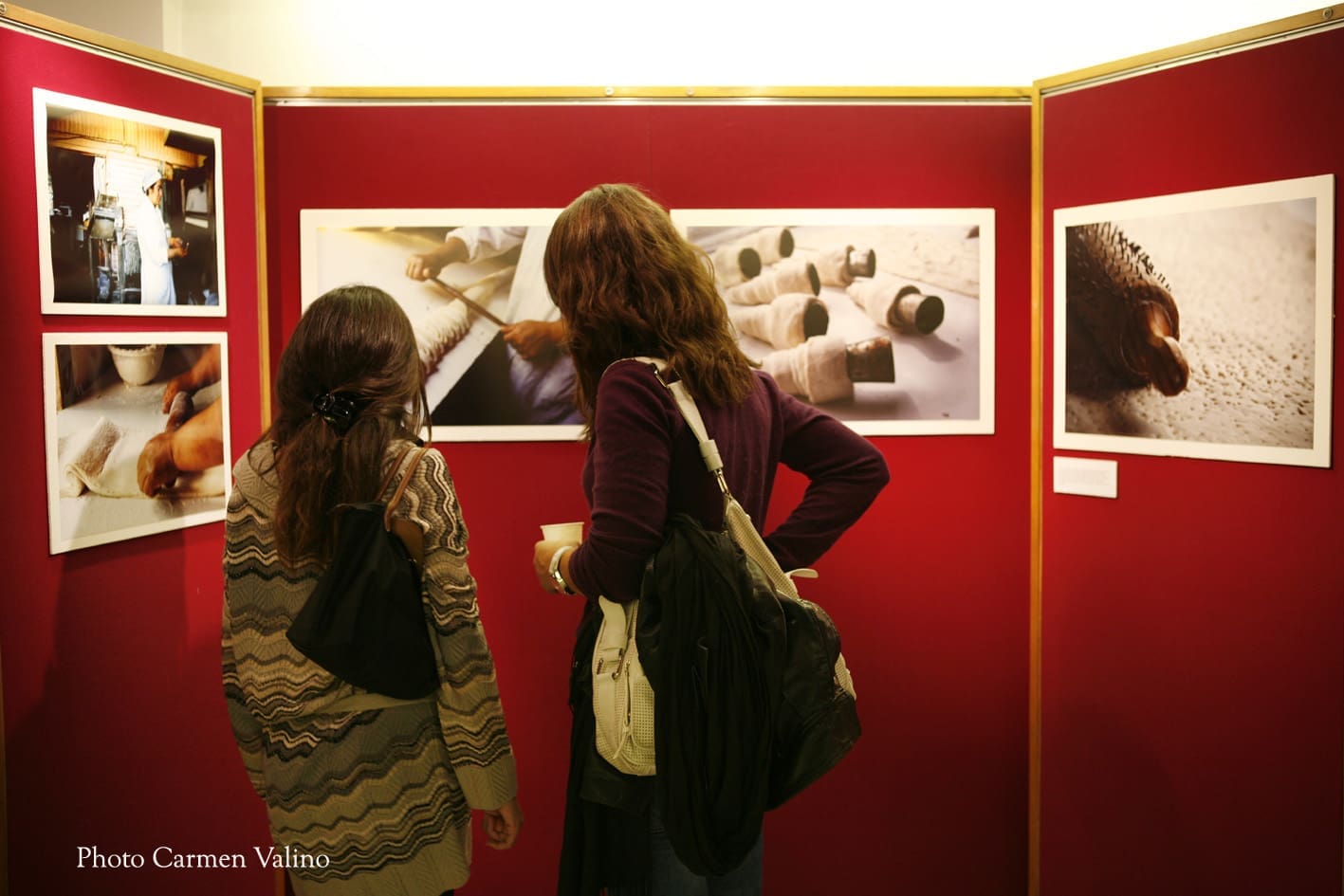 Flavours of the Mapuche Land