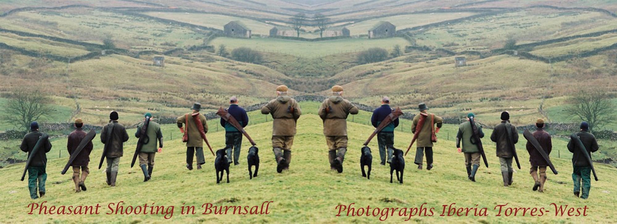 Pheasant Shooting in Burnsall